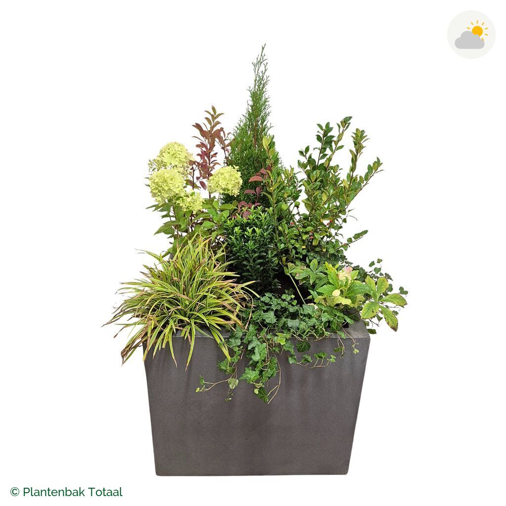 productfoto van plantenbak Fiberstone Jumbo Block Vierkant Set Ardennen
