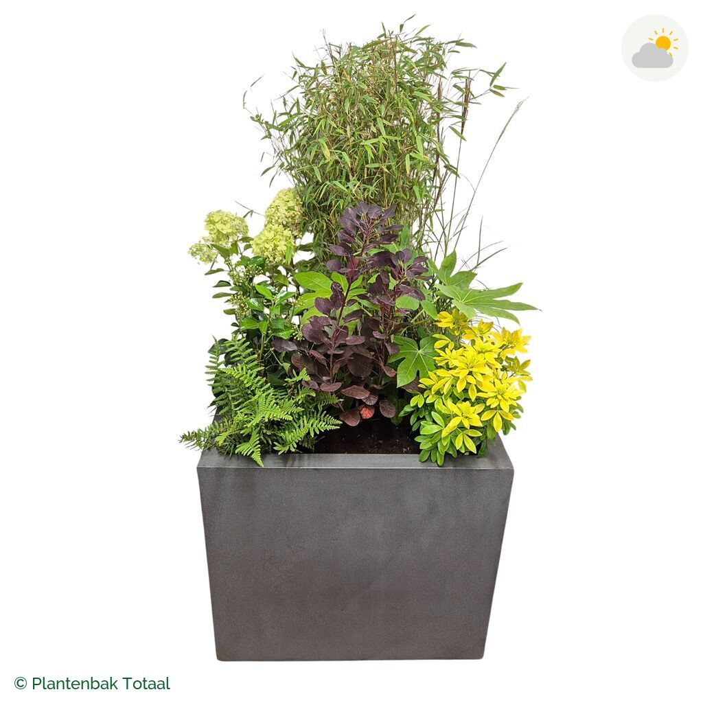 productfoto van plantenbak Fiberstone Jumbo Block Vierkant Set Bohemen