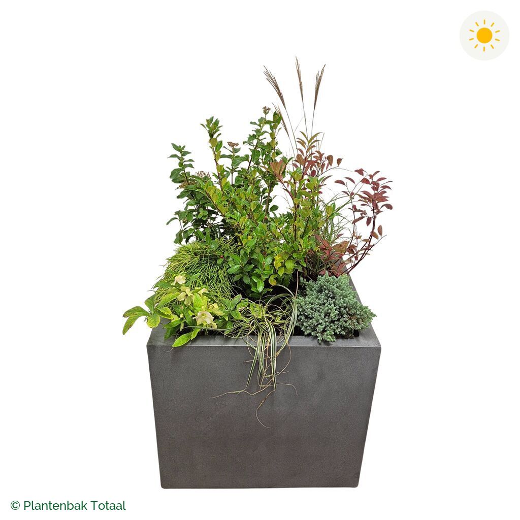 productfoto van plantenbak Fiberstone Jumbo Block Vierkant Set Bretagne