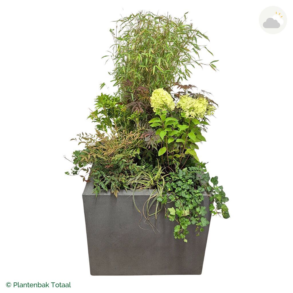 productfoto van plantenbak Fiberstone Jumbo Block Vierkant Set Himalaya