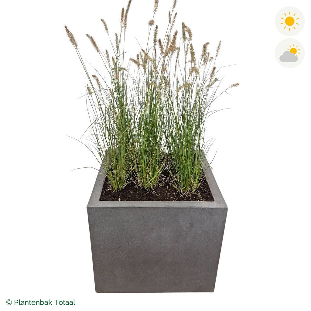 productfoto van plantenbak Fiberstone Jumbo Block Vierkant Lampenpoetsersgras