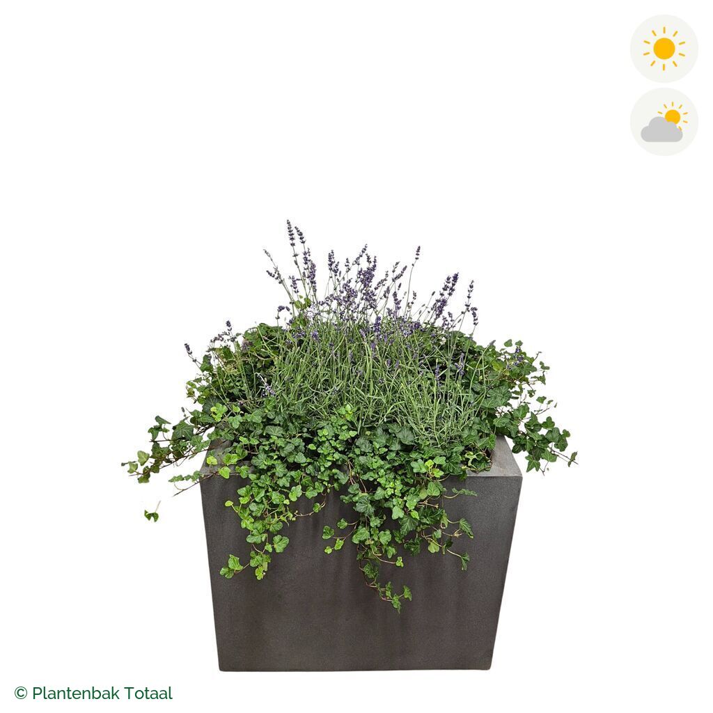 productfoto van plantenbak Fiberstone Jumbo Block Vierkant Lavendel Combinatie