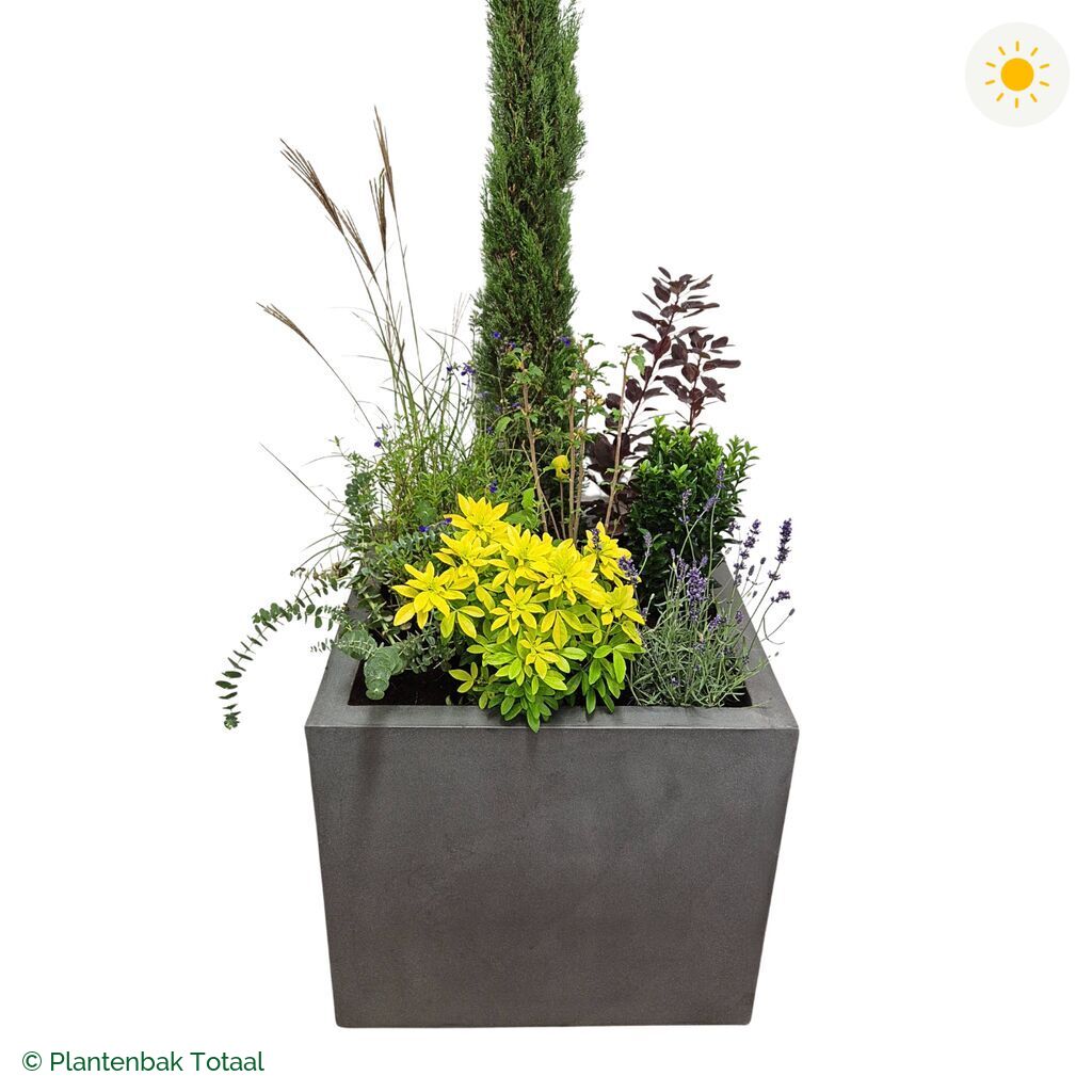 productfoto van plantenbak Fiberstone Jumbo Block Vierkant Set Toscane