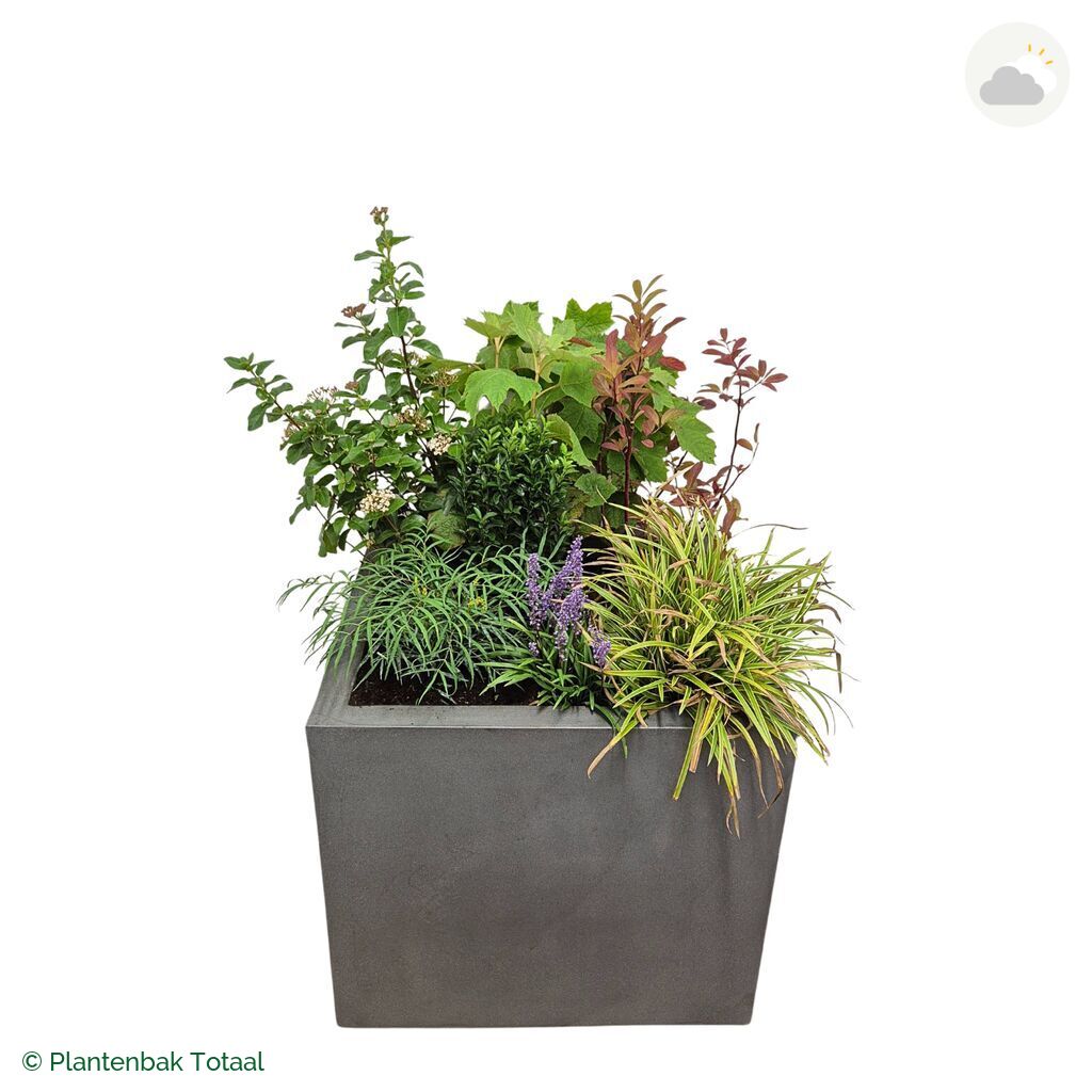 productfoto van plantenbak Fiberstone Jumbo Block Vierkant Set York