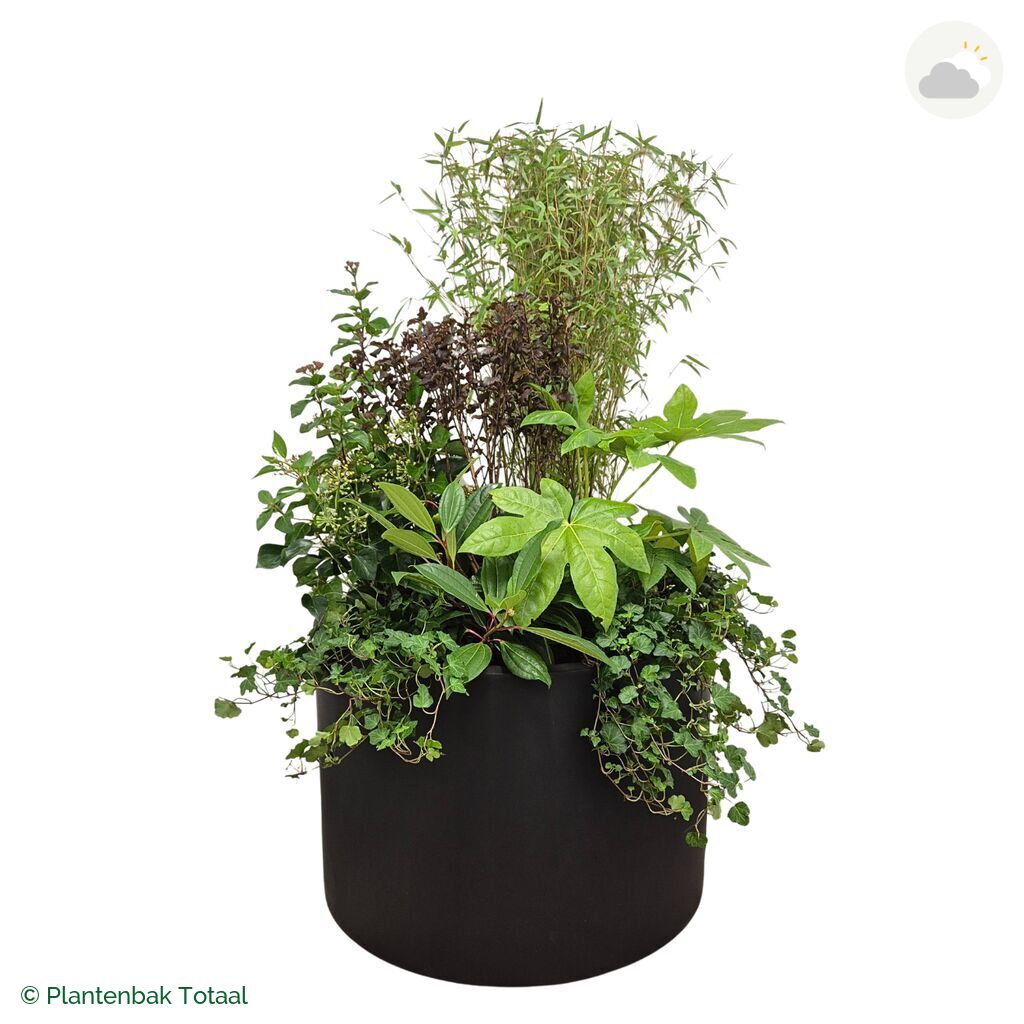 productfoto van plantenbak Fiberstone Jumbo Max Rond Set Amazone