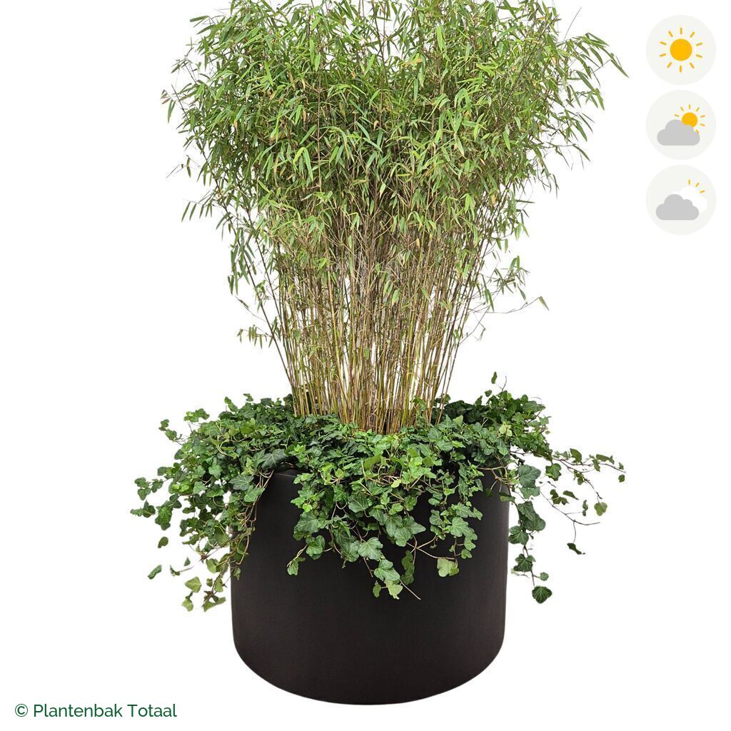 productfoto van plantenbak Fiberstone Jumbo Max Rond Bamboe Combinatie