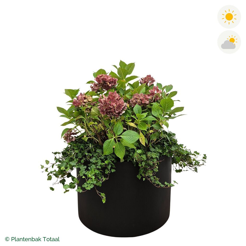 productfoto van plantenbak Fiberstone Jumbo Max Rond Boerenhortensia Combinatie