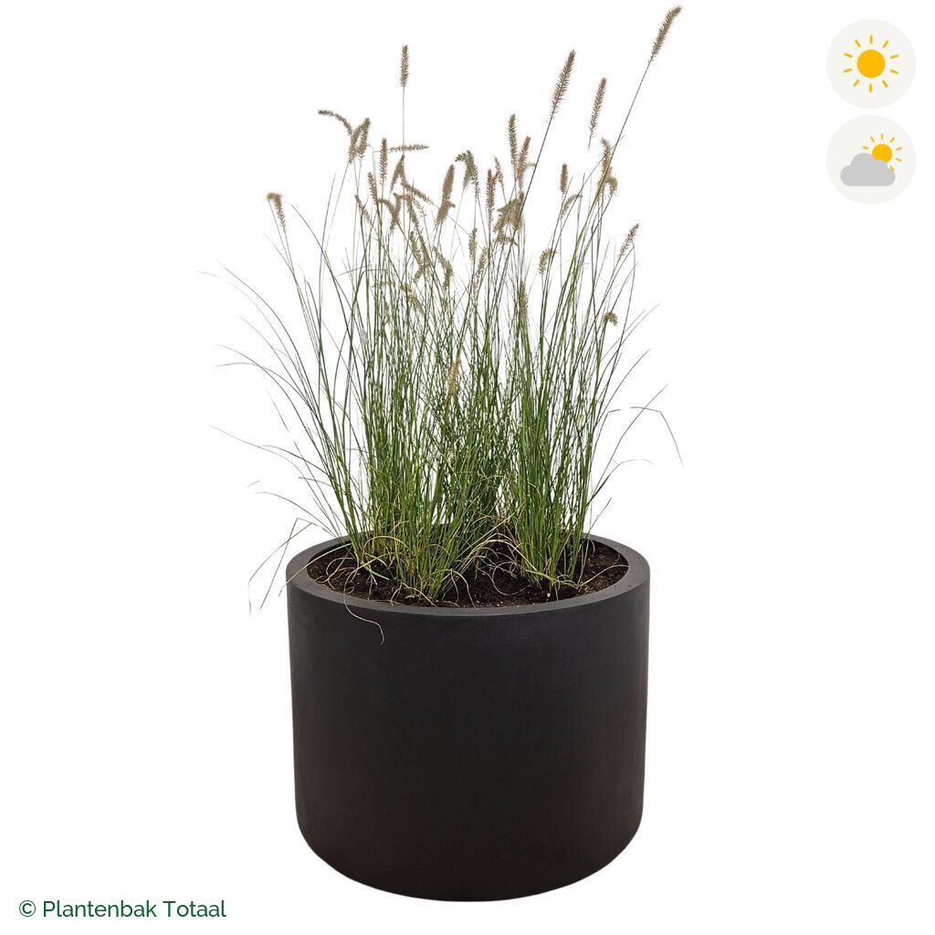 productfoto van plantenbak Fiberstone Jumbo Max Rond Lampenpoetsersgras