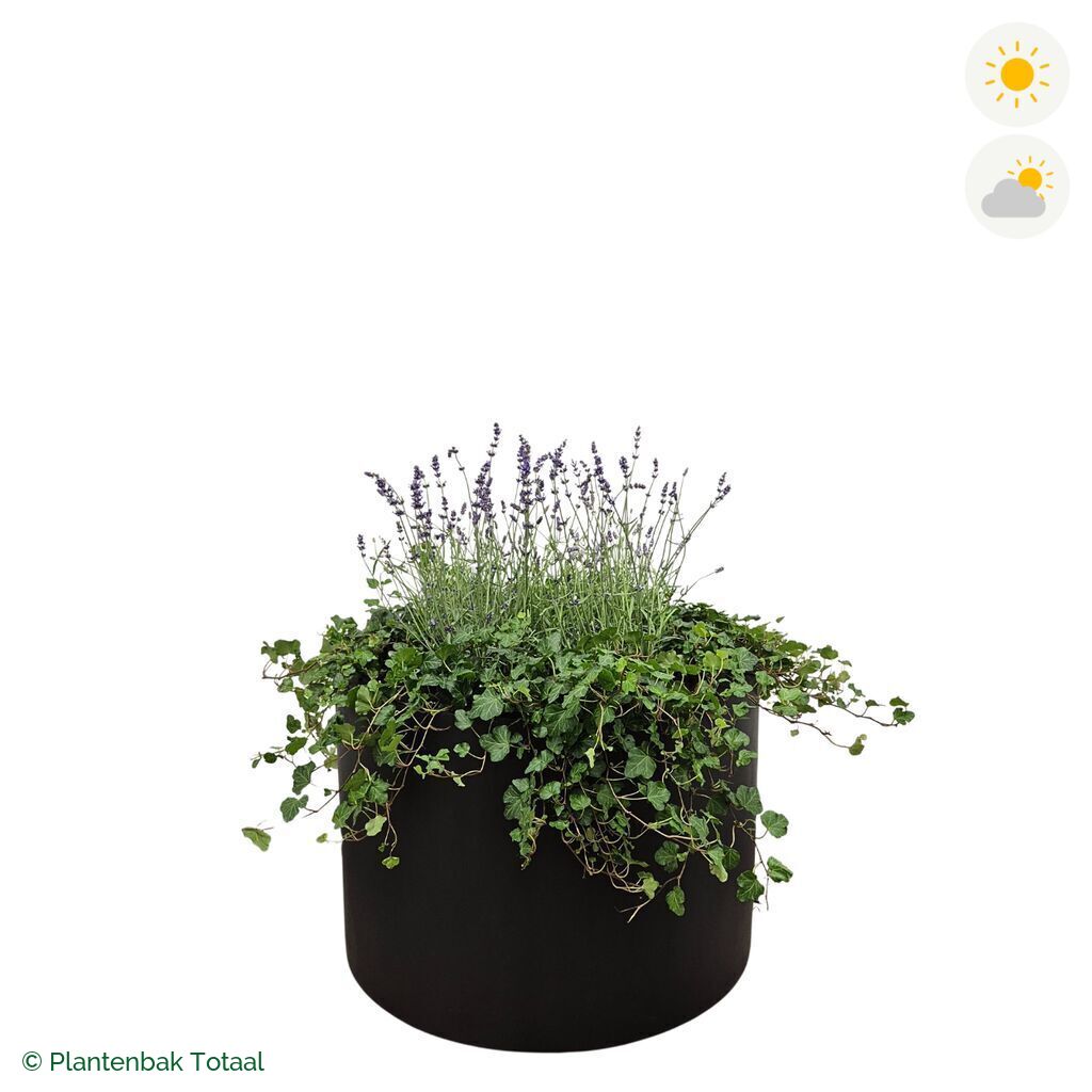 productfoto van plantenbak Fiberstone Jumbo Max Rond Lavendel Combinatie