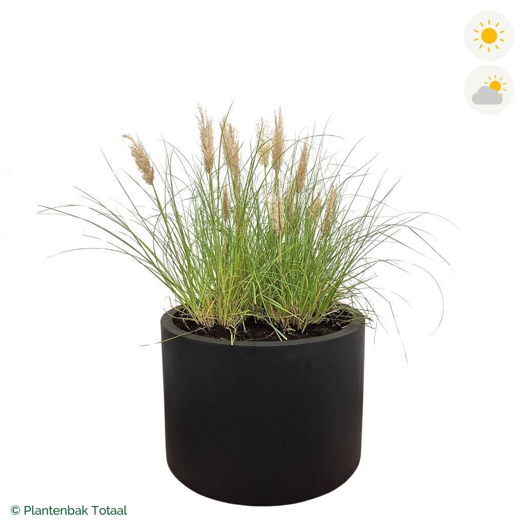 productfoto van plantenbak Fiberstone Jumbo Max Rond Pampasgras