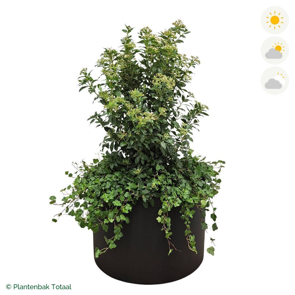 productfoto van plantenbak Fiberstone Jumbo Max Rond Sneeuwbal Combinatie