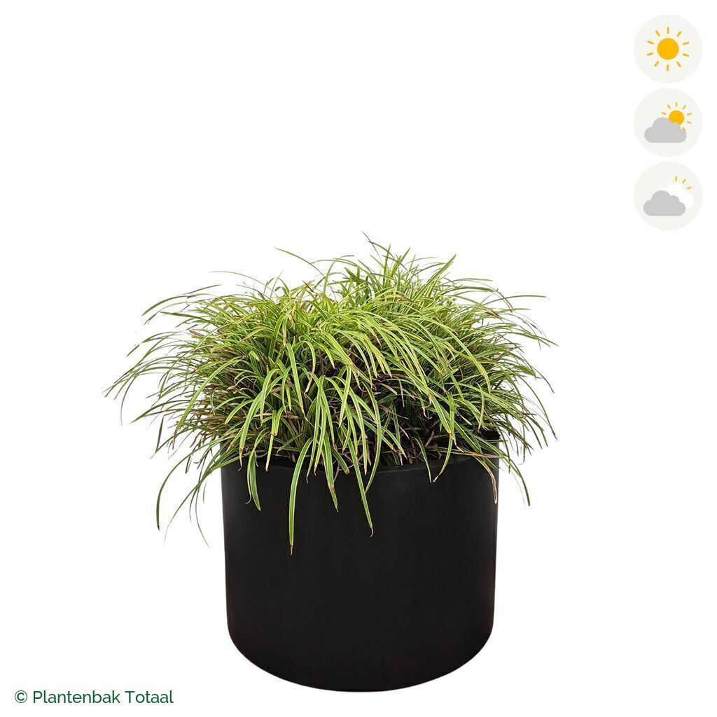 productfoto van plantenbak Fiberstone Jumbo Max Rond Zegge