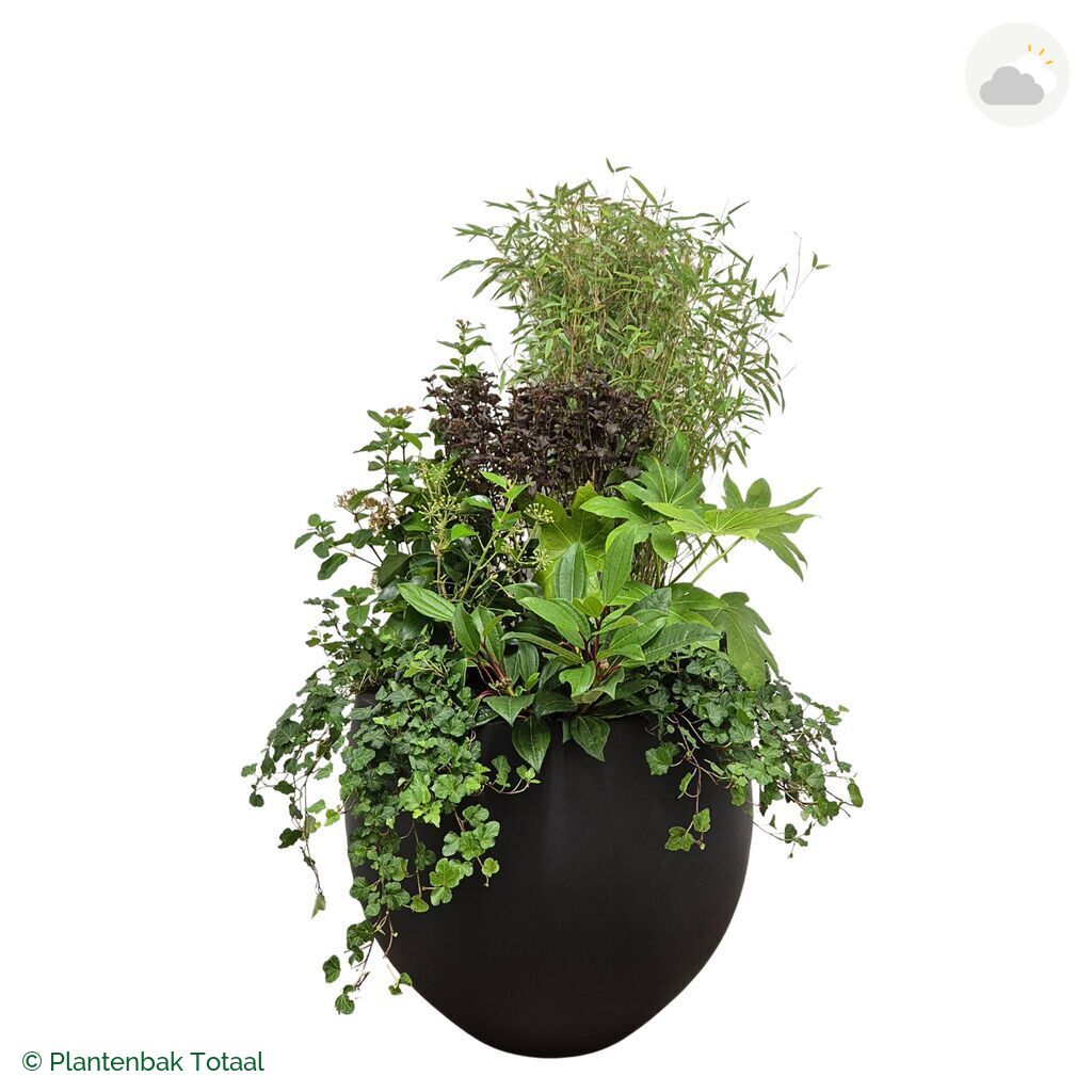 productfoto van plantenbak Fiberstone Orb Set Amazone