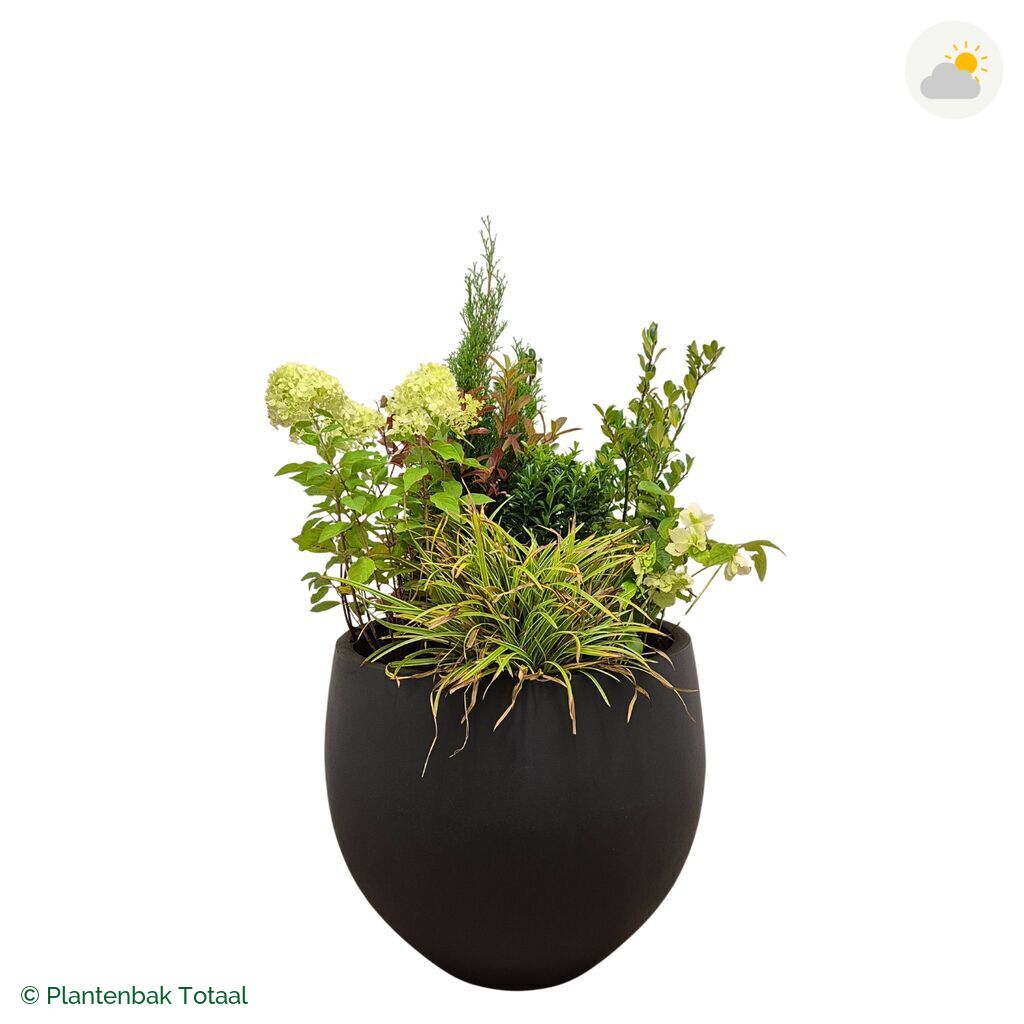 productfoto van plantenbak Fiberstone Orb Set Ardennen