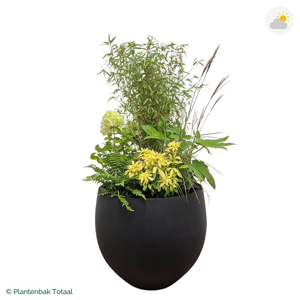 productfoto van plantenbak Fiberstone Orb Set Bohemen