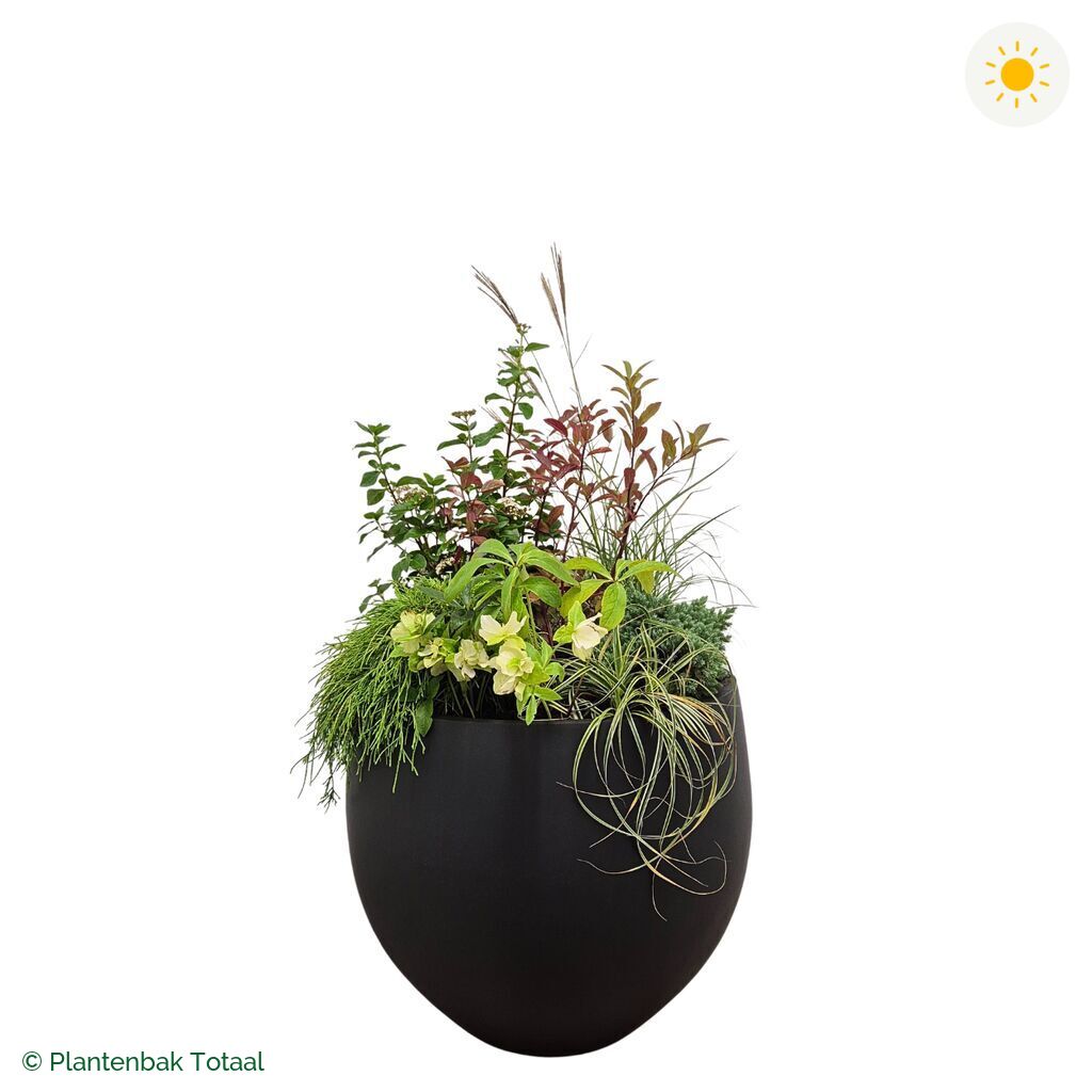 productfoto van plantenbak Fiberstone Orb Set Bretagne