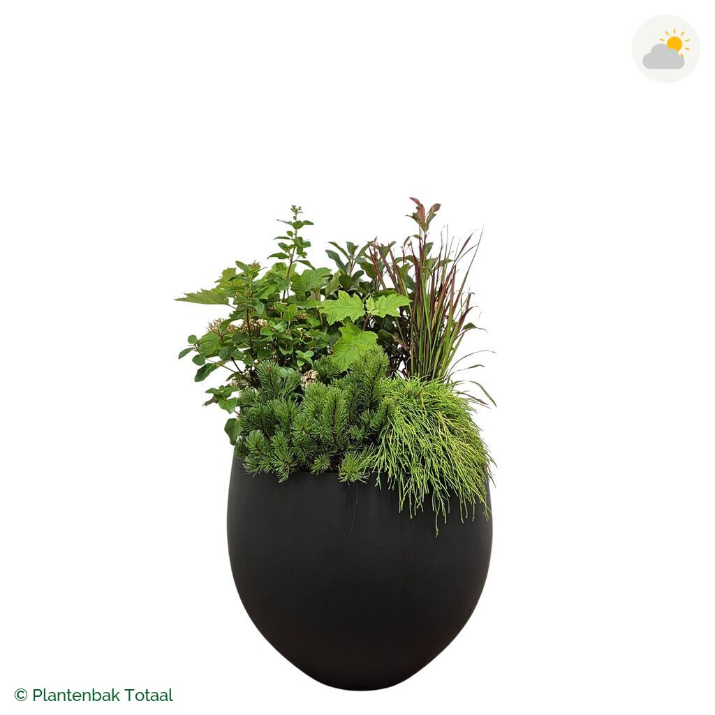 productfoto van plantenbak Fiberstone Orb Set Eifel
