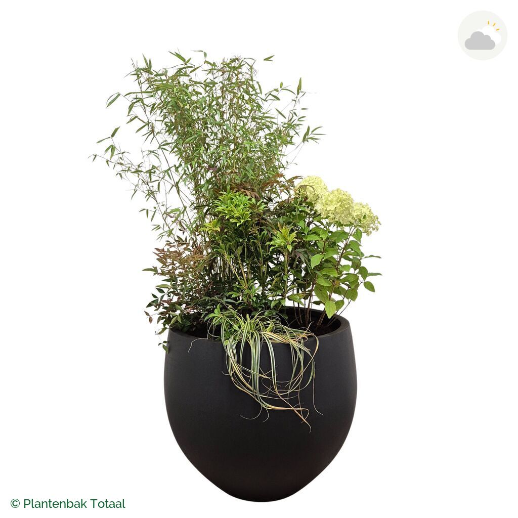 productfoto van plantenbak Fiberstone Orb Set Himalaya