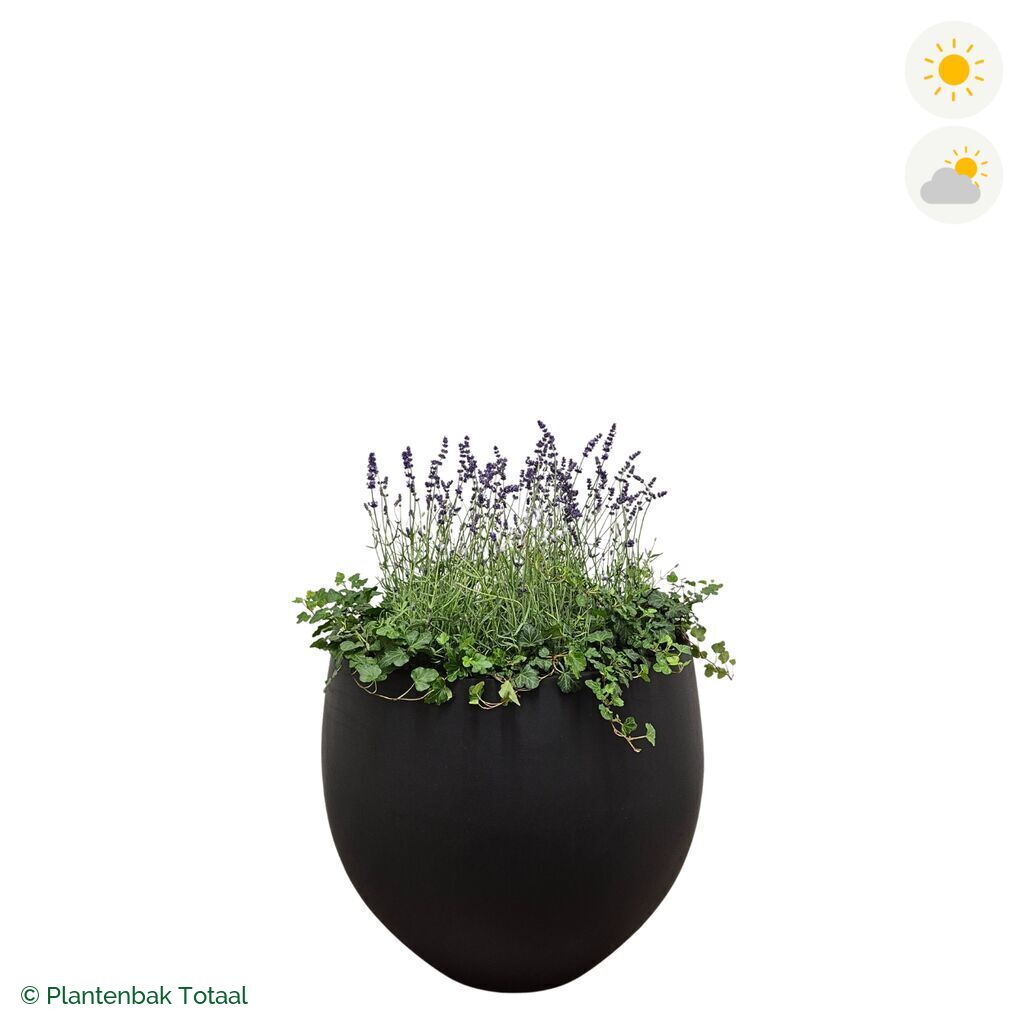productfoto van plantenbak Fiberstone Orb Lavendel Combinatie