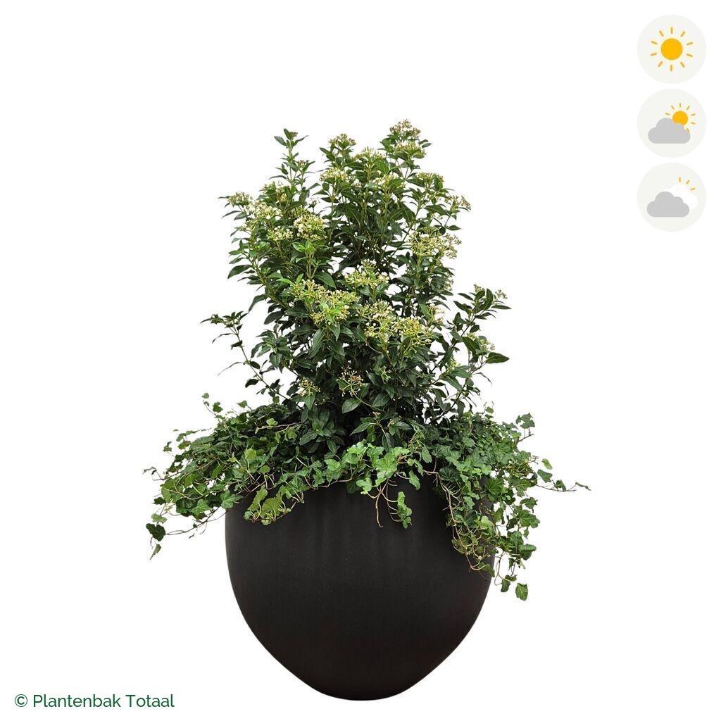 productfoto van plantenbak Fiberstone Orb Sneeuwbal Combinatie