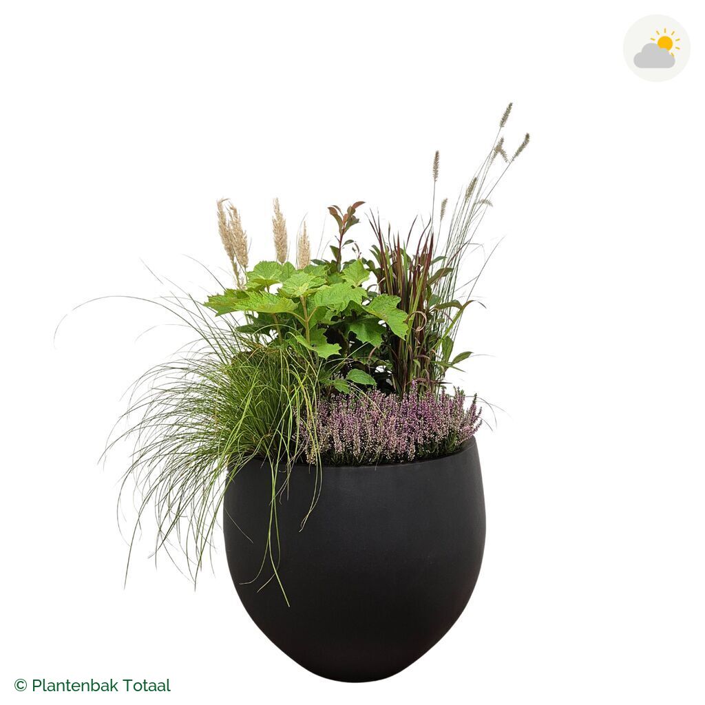 productfoto van plantenbak Fiberstone Orb Set Veluwe
