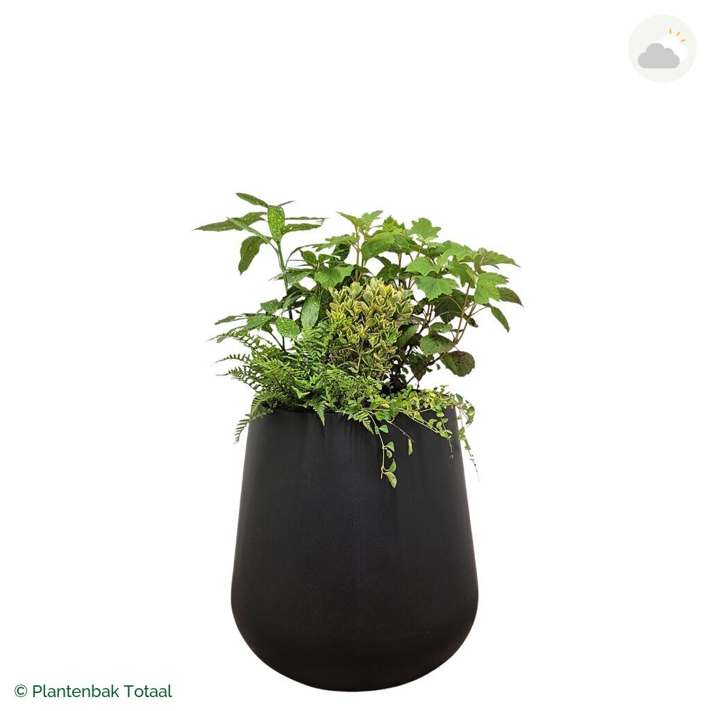 productfoto van plantenbak Fiberstone Pax Set Amazone