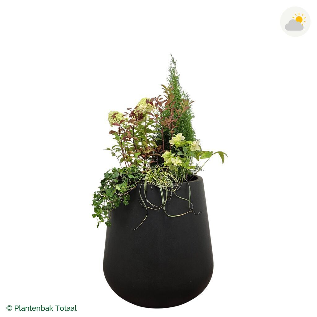productfoto van plantenbak Fiberstone Pax Set Ardennen