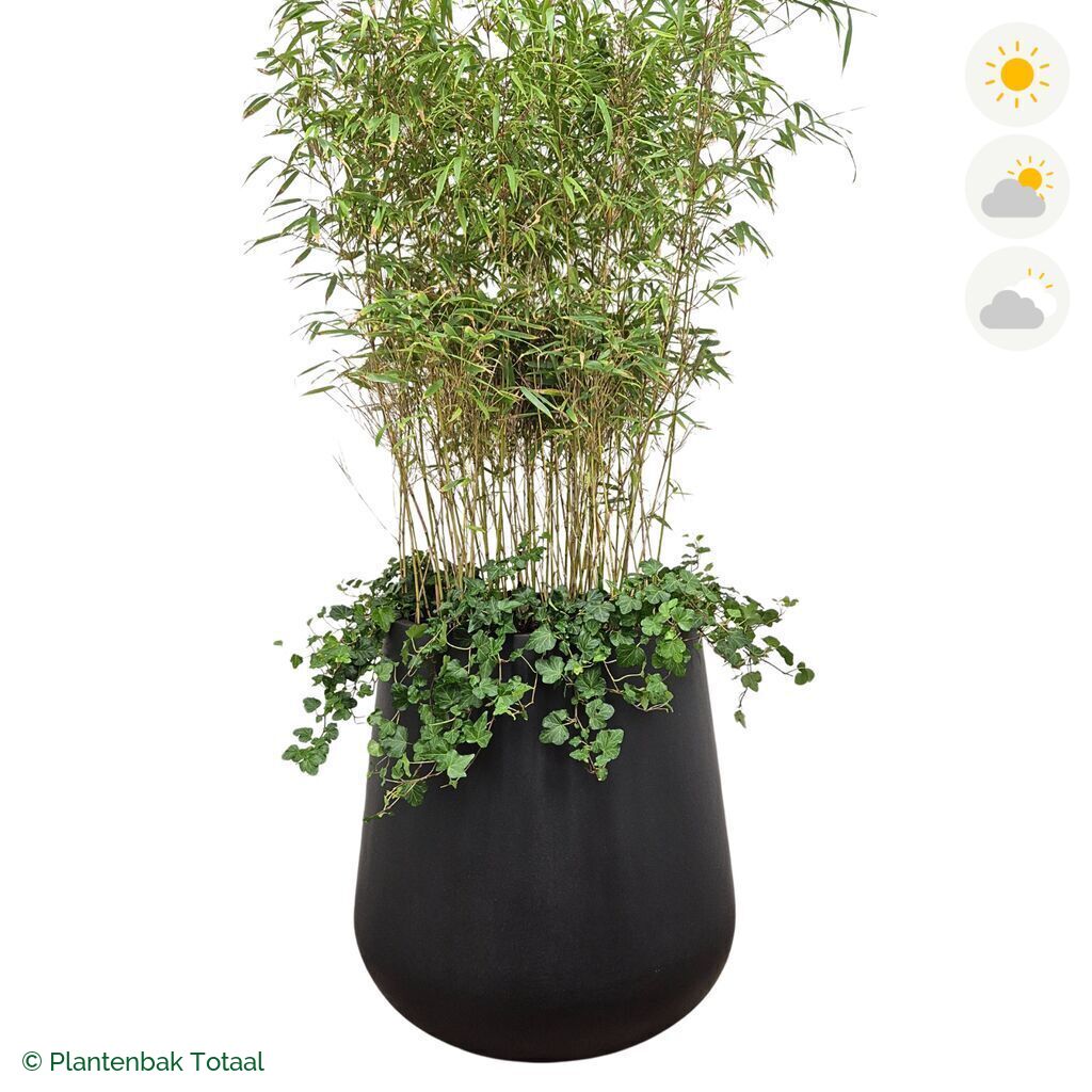 productfoto van plantenbak Fiberstone Pax Bamboe Combinatie