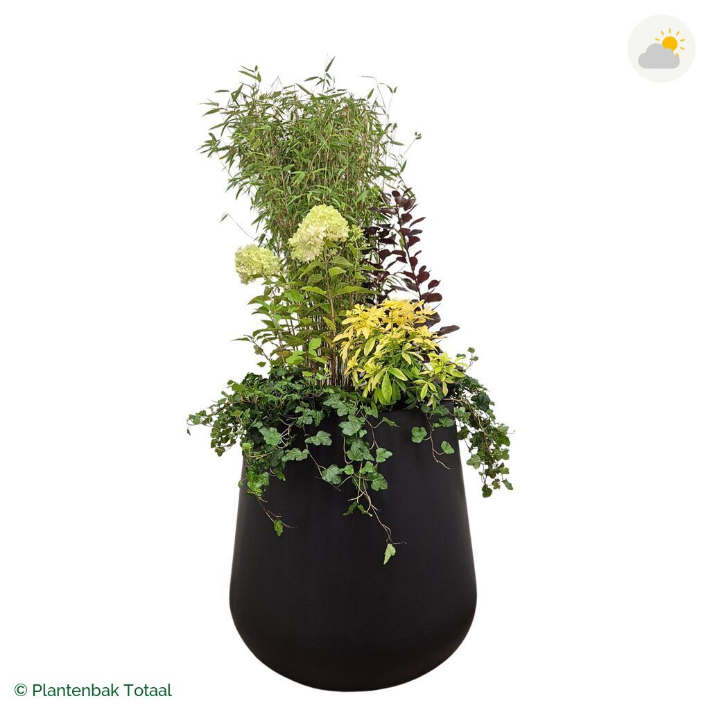productfoto van plantenbak Fiberstone Pax Set Bohemen