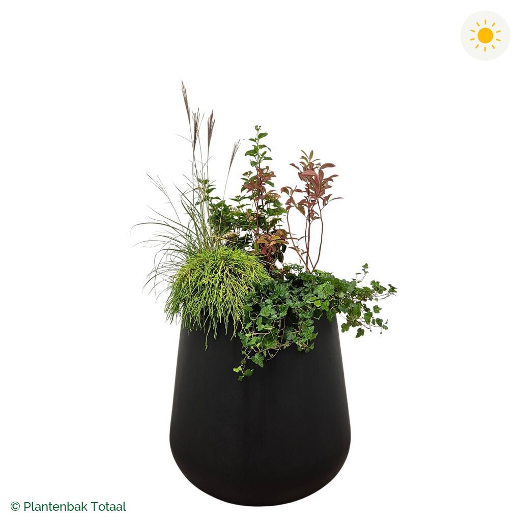 productfoto van plantenbak Fiberstone Pax Set Bretagne