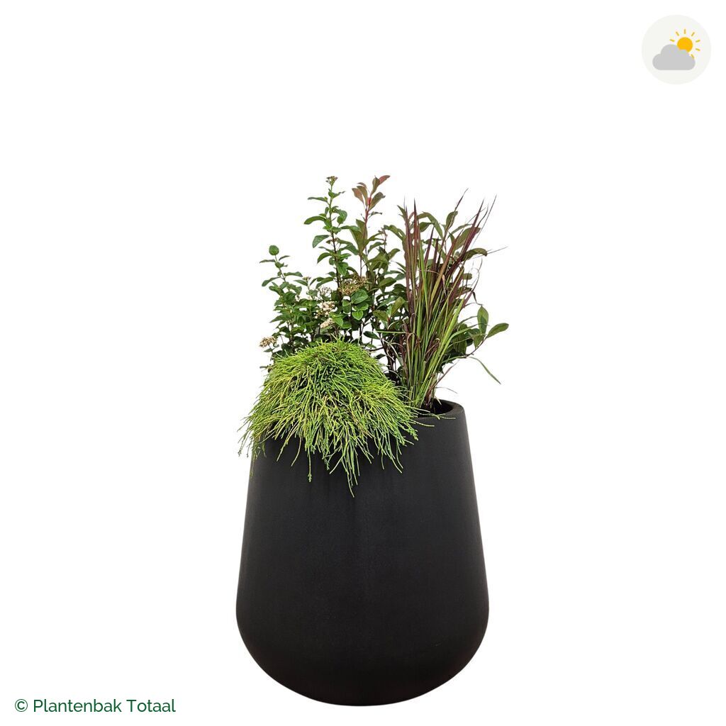 productfoto van plantenbak Fiberstone Pax Set Eifel