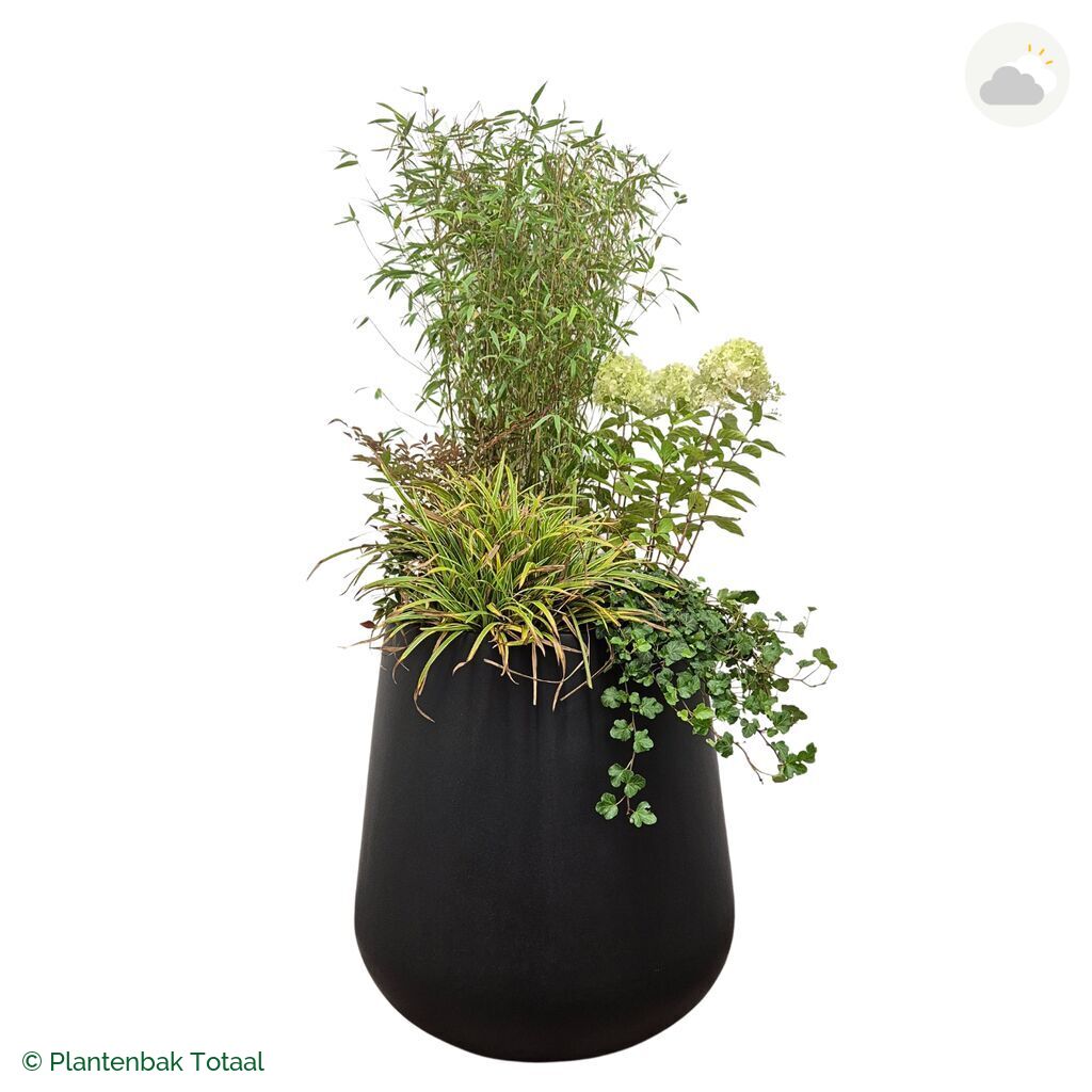 productfoto van plantenbak Fiberstone Pax Set Himalaya