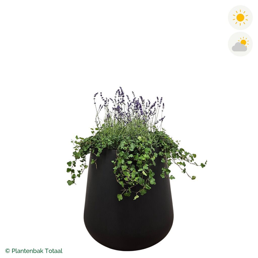 productfoto van plantenbak Fiberstone Pax Lavendel Combinatie
