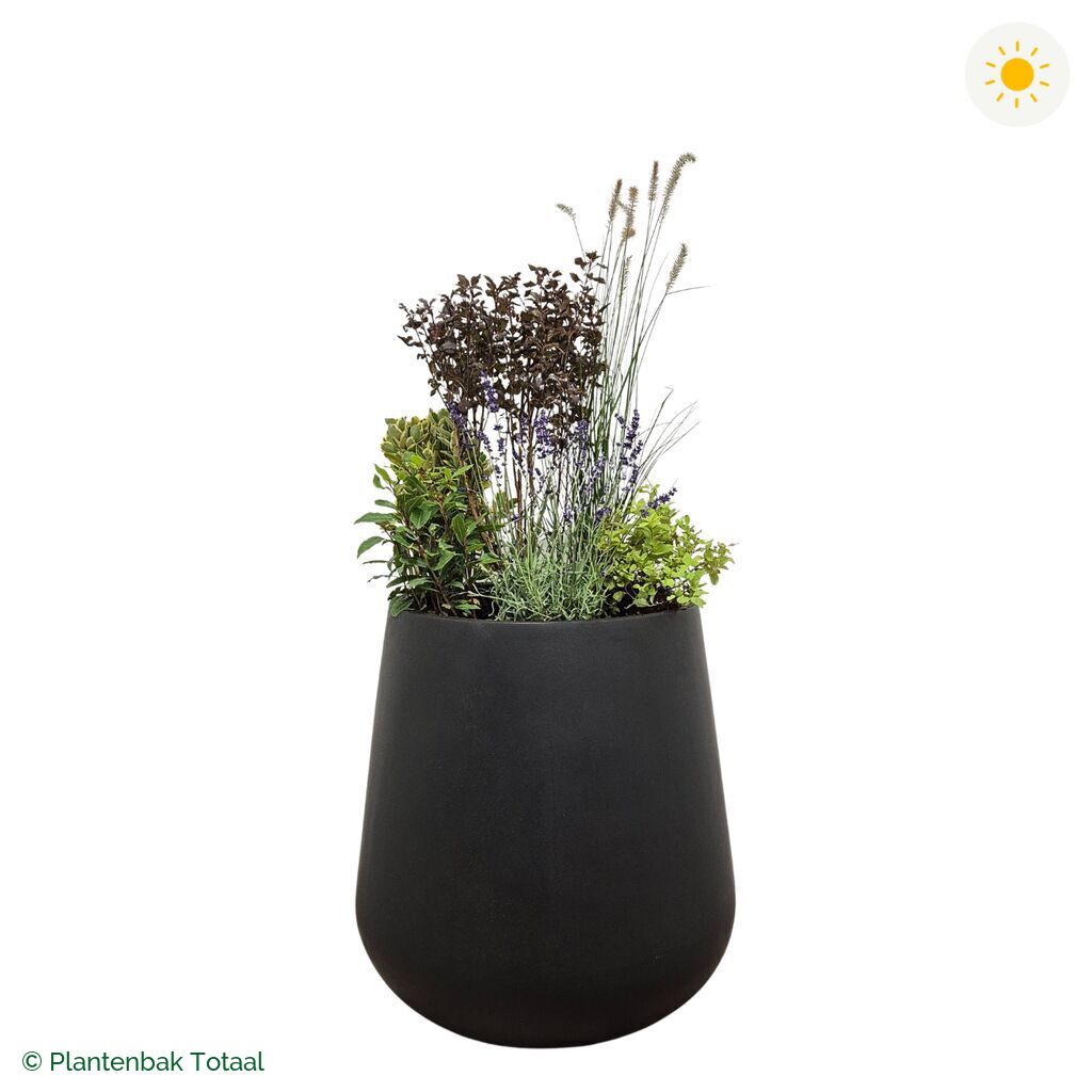 productfoto van plantenbak Fiberstone Pax Set Provence