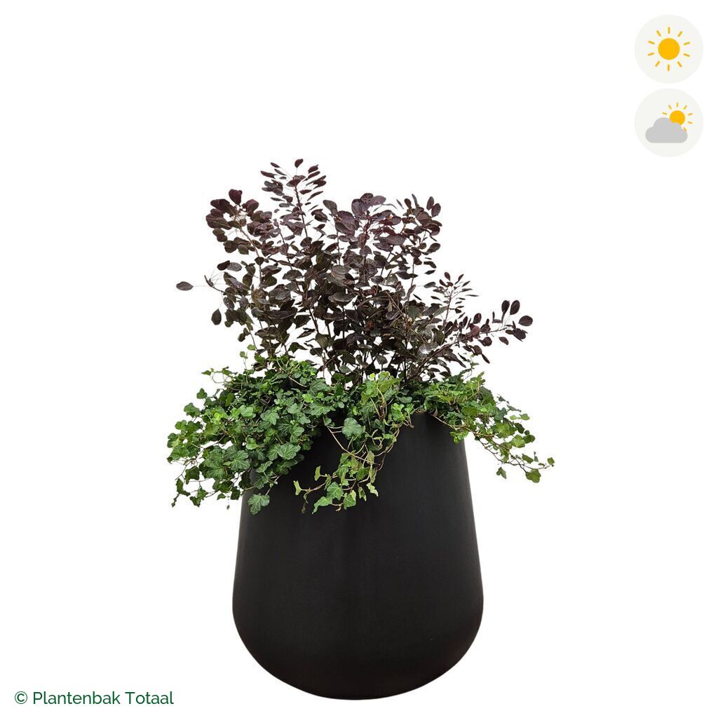 productfoto van plantenbak Fiberstone Pax Pruikenboom Combinatie