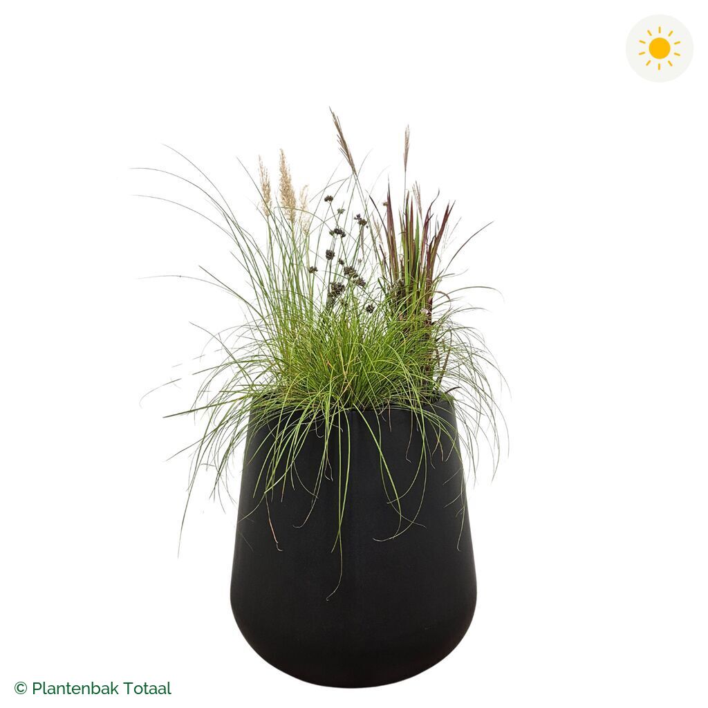 productfoto van plantenbak Fiberstone Pax Set Savanne