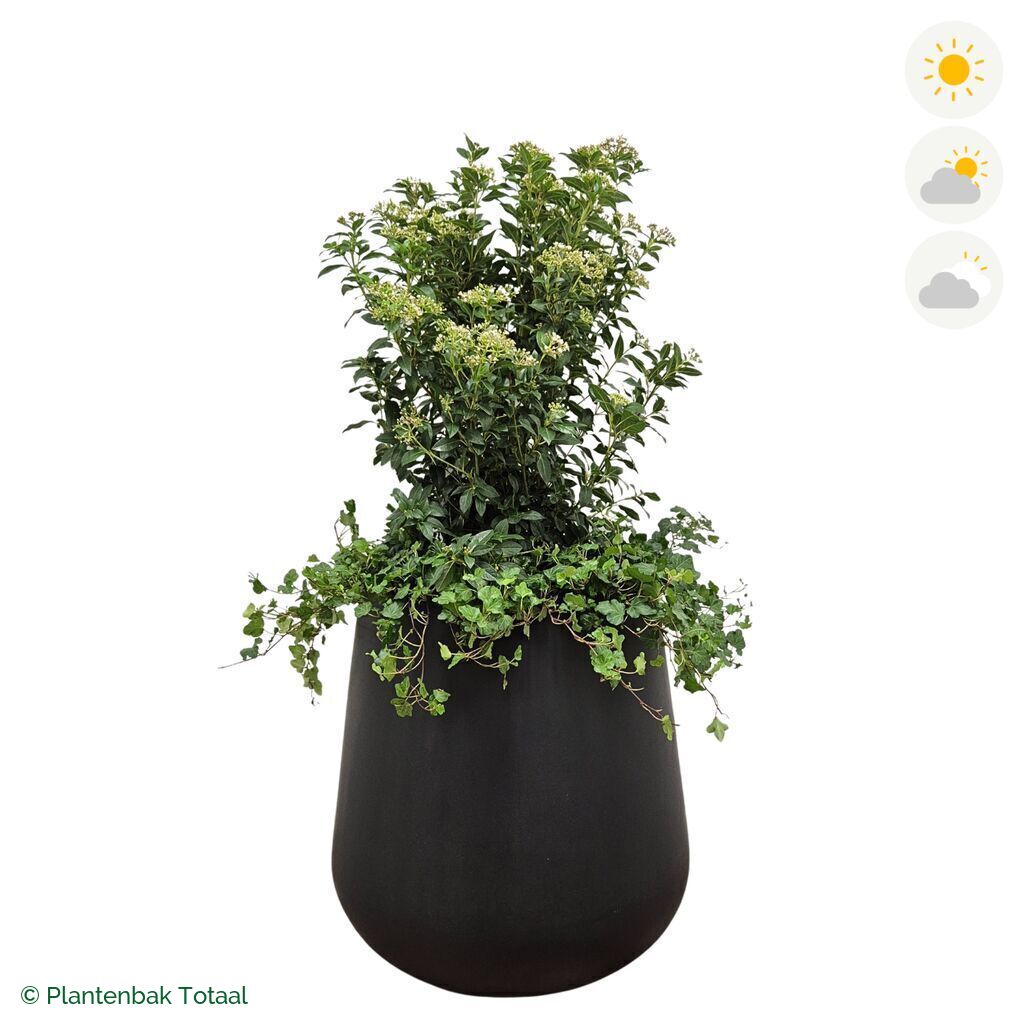 productfoto van plantenbak Fiberstone Pax Sneeuwbal Combinatie