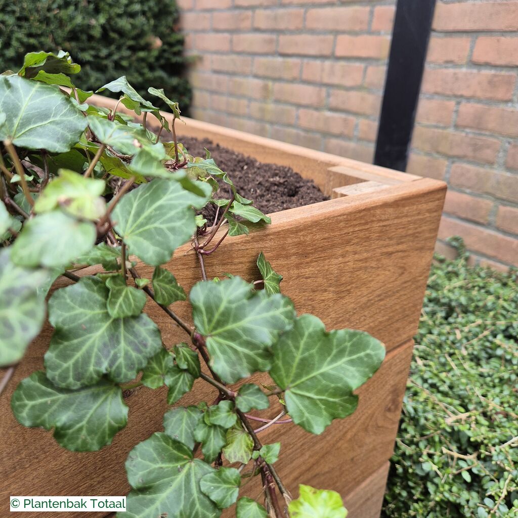 productlijn foto van plantenbak HH Granada rechthoek