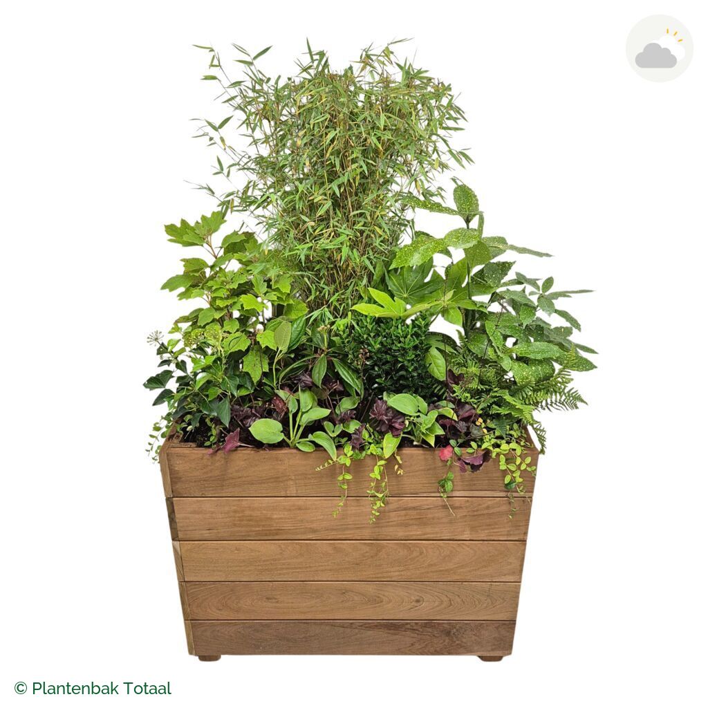 productfoto van plantenbak Hardhout Granada Rechthoek Amazone