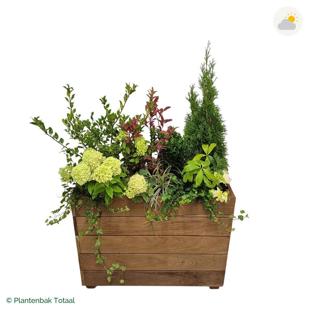 productfoto van plantenbak Hardhout Granada Rechthoek Ardennen