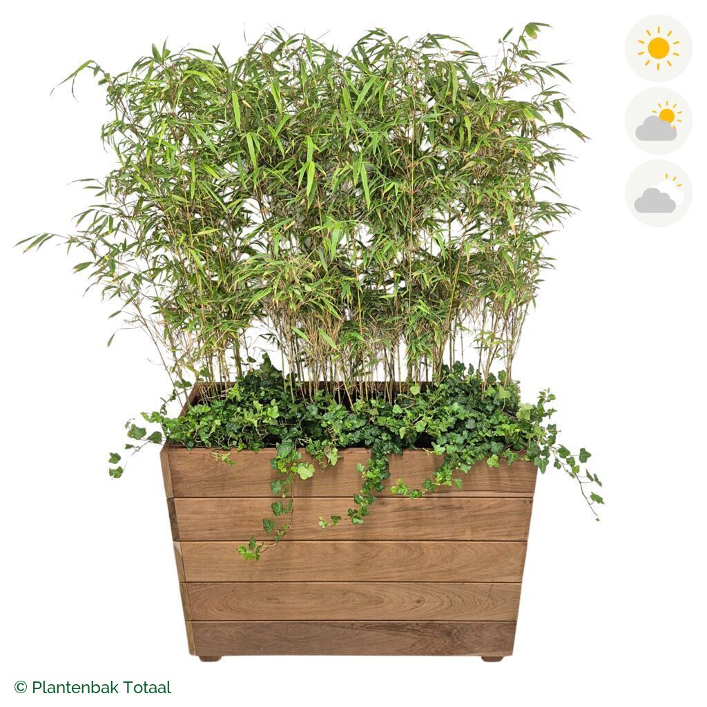 productfoto van plantenbak Hardhout Granada Rechthoek Bamboe Combinatie