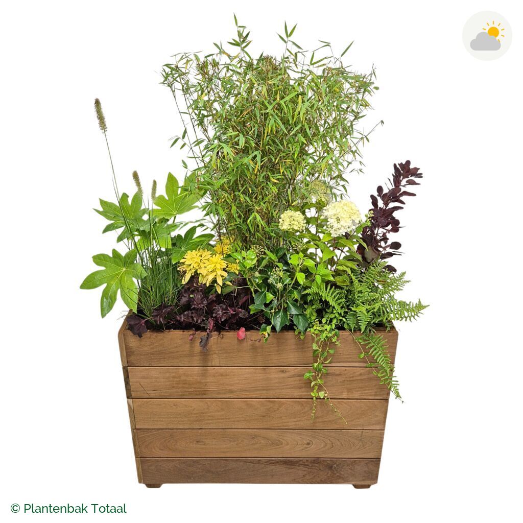 productfoto van plantenbak Hardhout Granada Rechthoek Bohemen