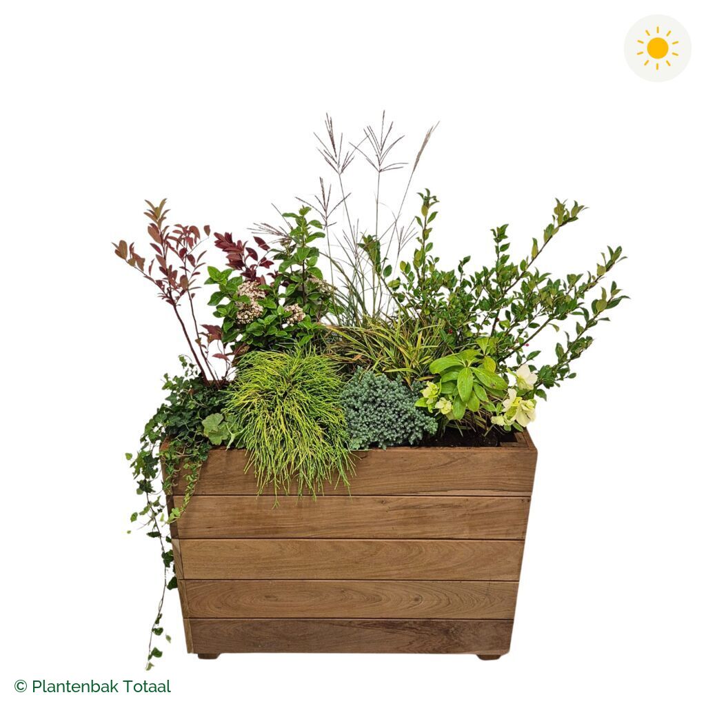 productfoto van plantenbak Hardhout Granada Rechthoek Bretagne