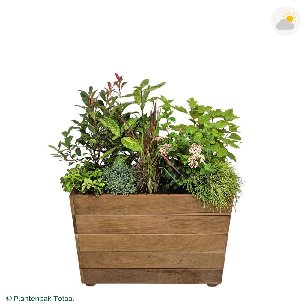 productfoto van plantenbak Hardhout Granada Rechthoek Eifel