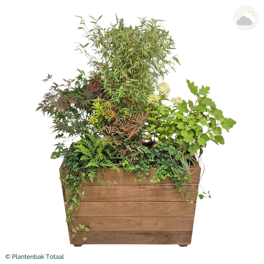 productfoto van plantenbak Hardhout Granada Rechthoek Himalaya