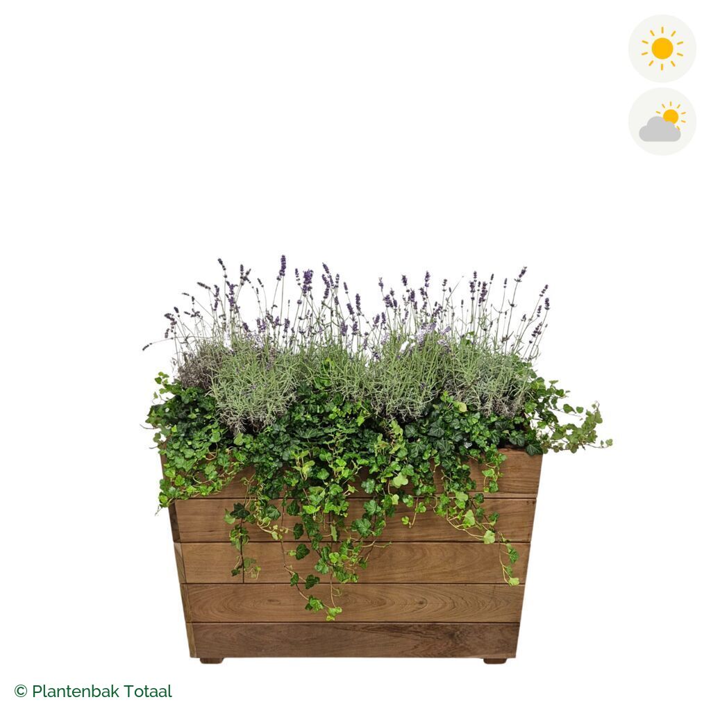 productfoto van plantenbak Hardhout Granada Rechthoek Lavendel Combinatie