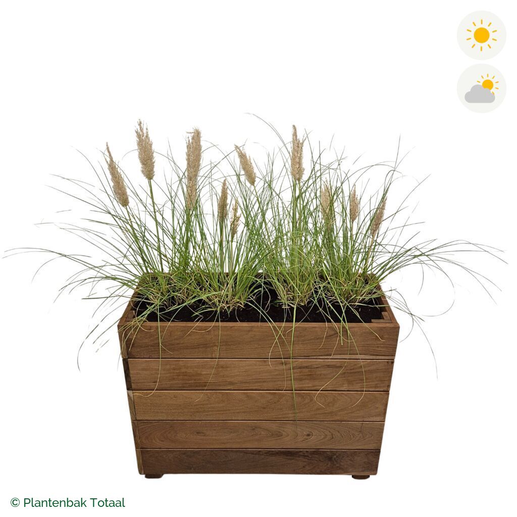 productfoto van plantenbak Hardhout Granada Rechthoek Pampasgras