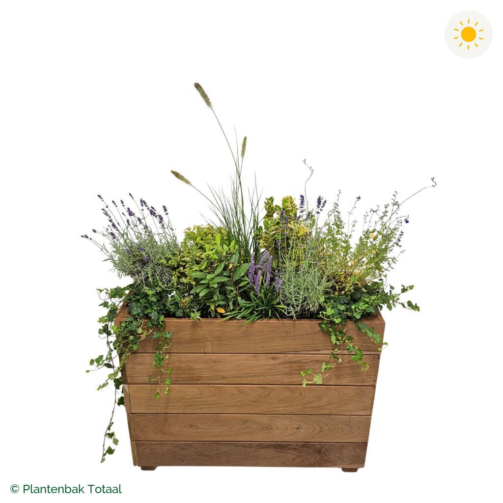 productfoto van plantenbak Hardhout Granada Rechthoek Provence