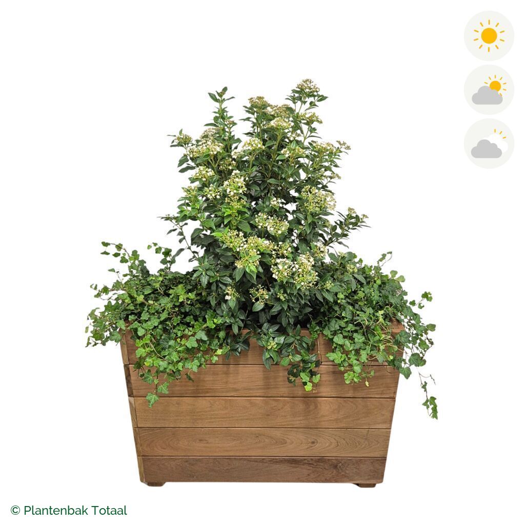 productfoto van plantenbak Granada Rechthoek Sneeuwbal Combinatie