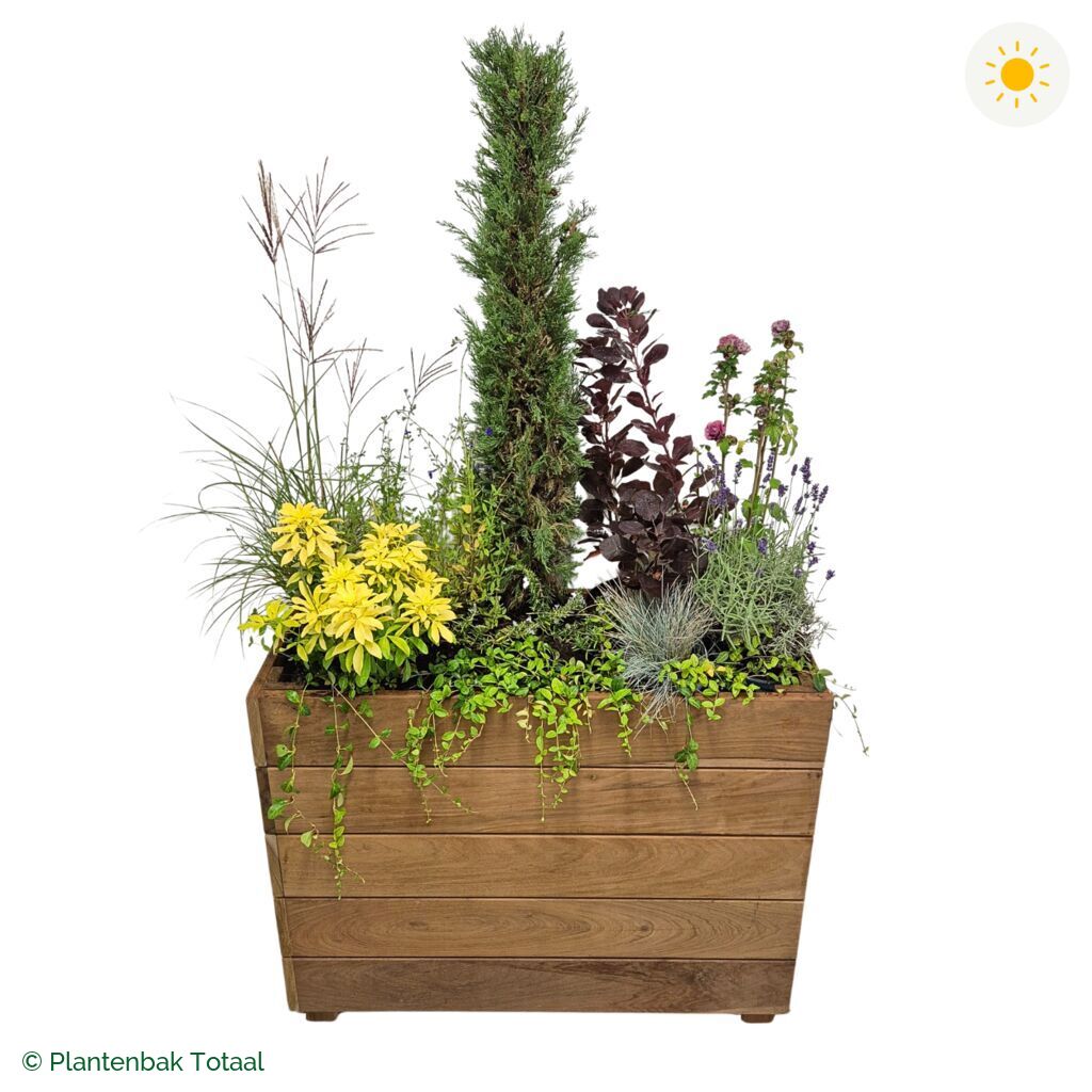 productfoto van plantenbak Hardhout Granada Rechthoek Toscane